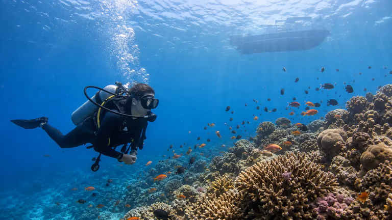 Netrani Island scuba diving experience near Murudeshwar for beginners and groups